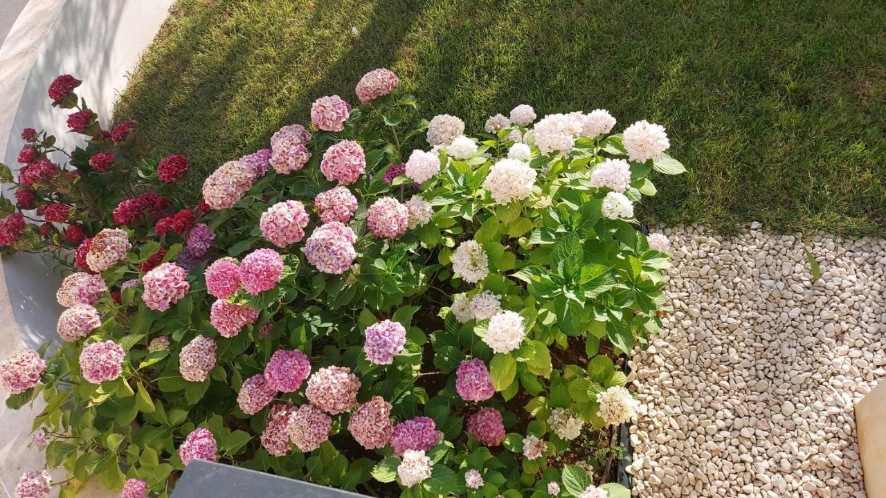 La Casa Di Francesca B&B Con Parcheggio Privato Porto Cesareo Exterior foto